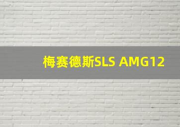 梅赛德斯SLS AMG12